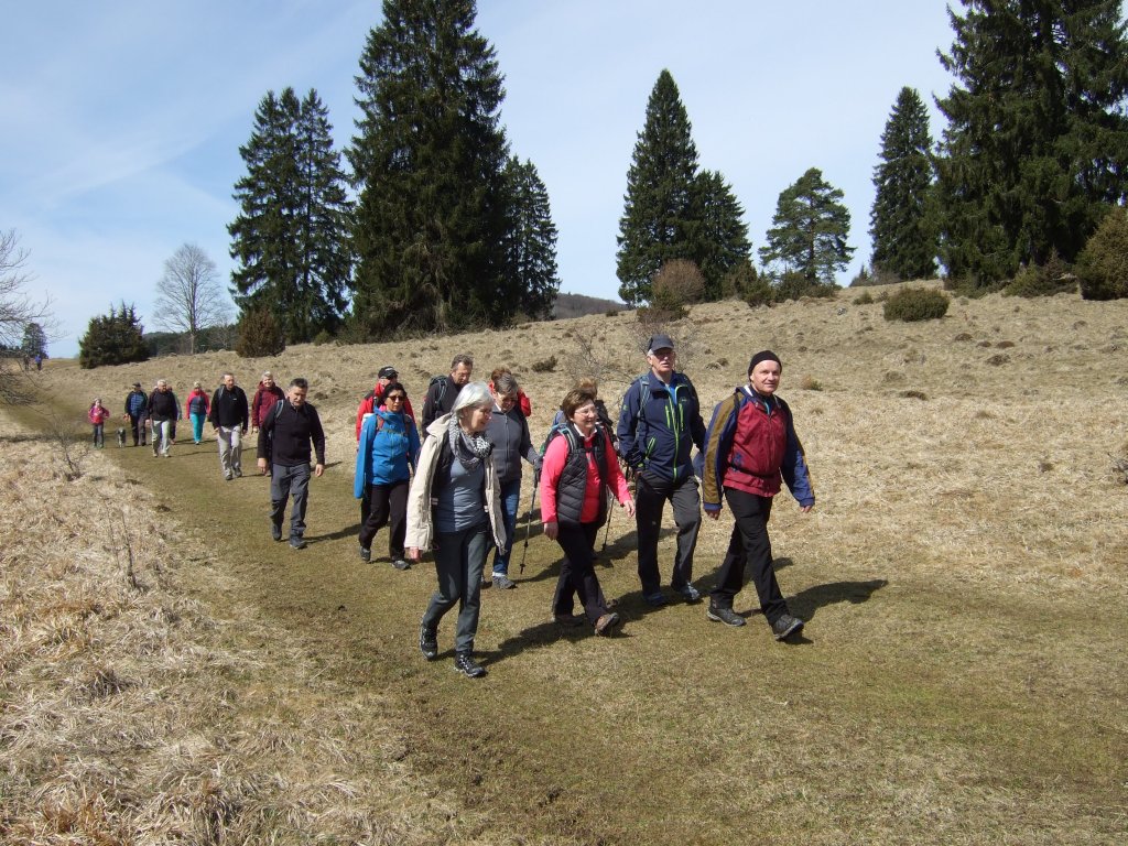 Gruppe Wandernder auf der schwäbischen Alb
